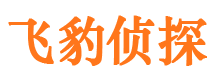 平陆市侦探